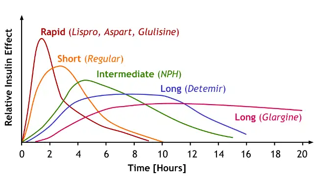 types of insulin